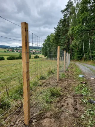 Wildzaun in Frankfurt - fachgerechte Ausführung vor Ort